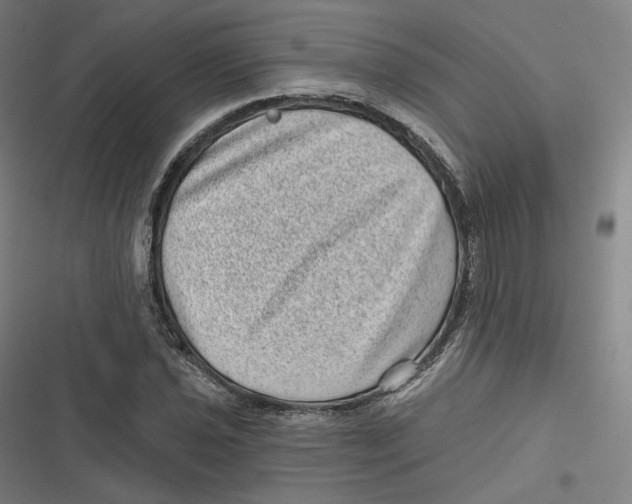 X0000116811021201001081351