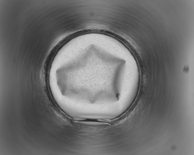 X0000116811022201001081351