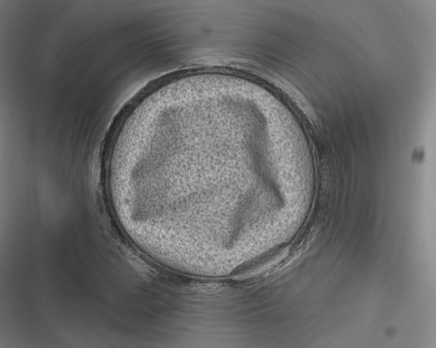 X0000116811023201001081351