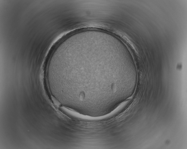 X0000116811024201001081351