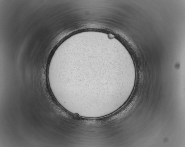 X0000116811025201001081351