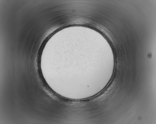 X0000116811026201001081351