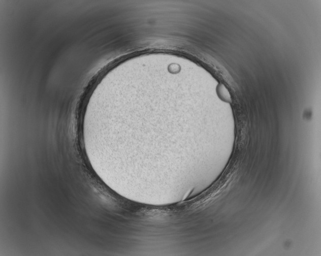 X0000116811027201001081351