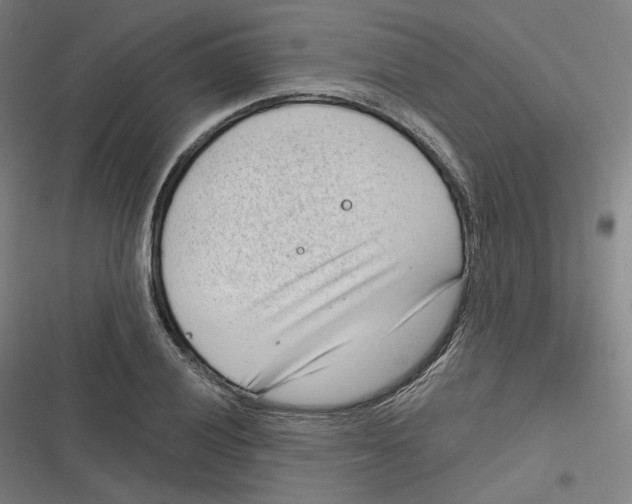 X0000116811028201001081351