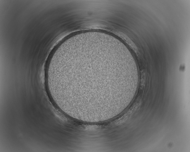 X0000116811031201001081351