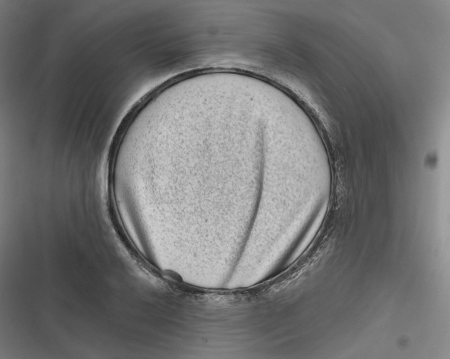 X0000116811032201001081351