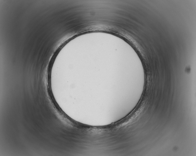 X0000116811034201001081351