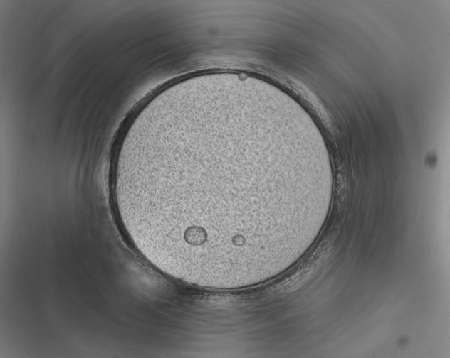 X0000116811035201001081351