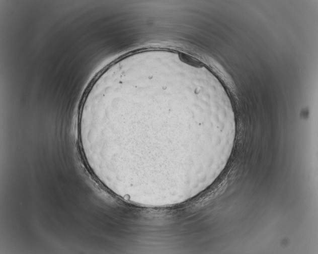 X0000116811036201001081351