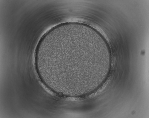 X0000116811037201001081351