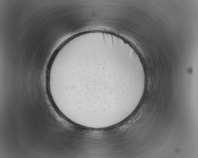 X0000116811038201001081351