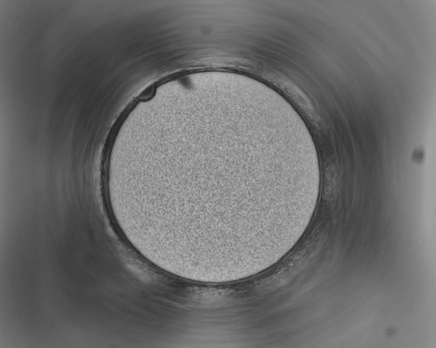 X0000116811039201001081351