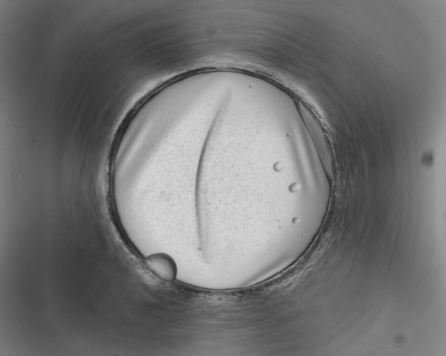 X0000116811040201001081351