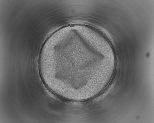 X0000116811041201001081351