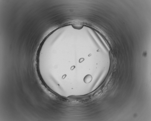 X0000116811042201001081351