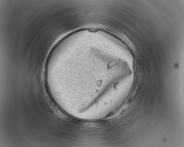 X0000116811044201001081351