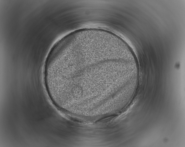 X0000116811045201001081351