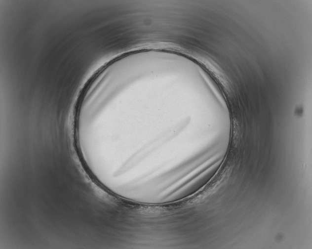 X0000116811046201001081351