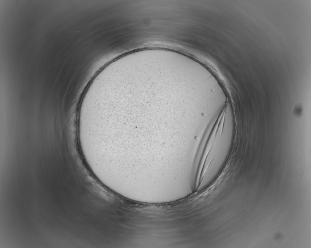 X0000116811048201001081351