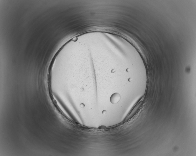 X0000116811050201001081351