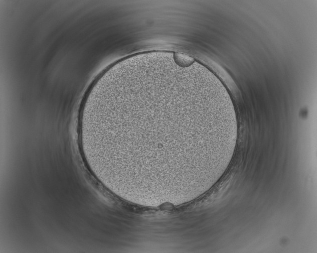 X0000116811051201001081351