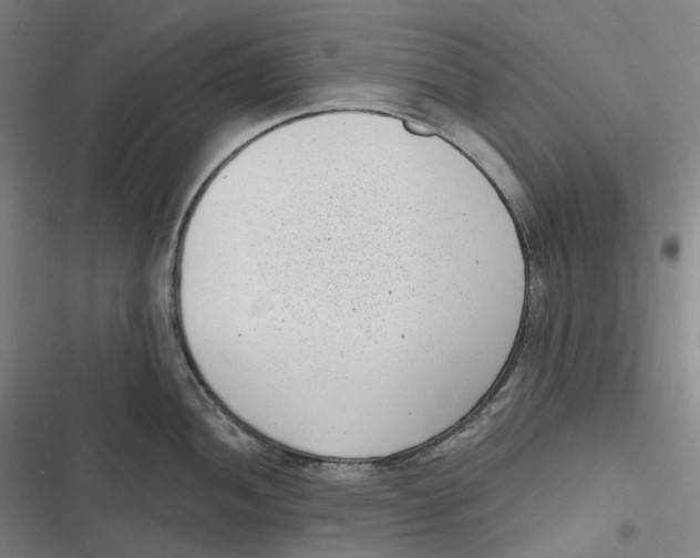 X0000116811052201001081351