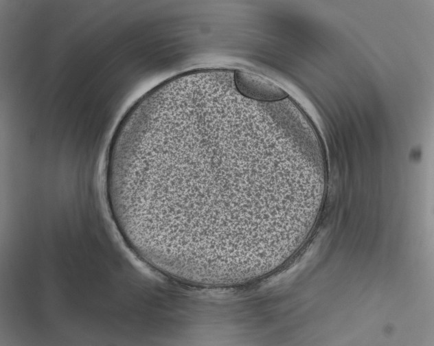 X0000116811053201001081351