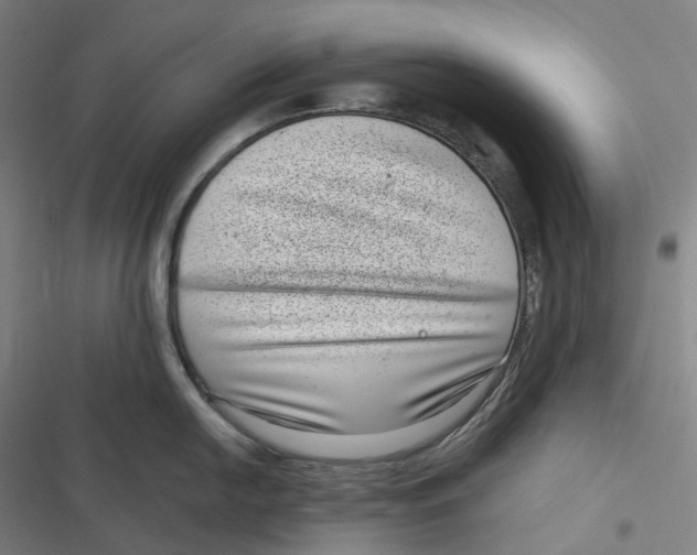 X0000116811054201001081351