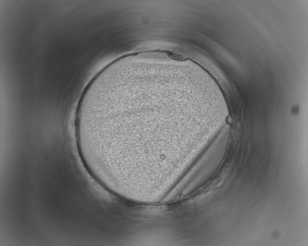 X0000116811055201001081351