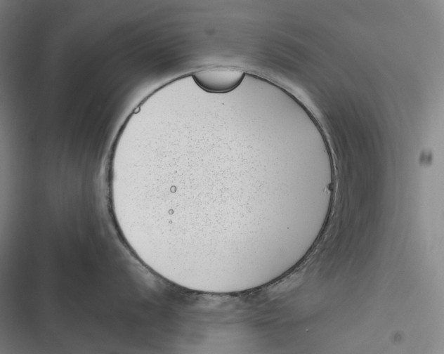 X0000116811056201001081351