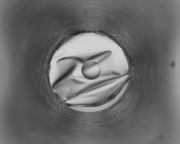 X0000116811057201001081351