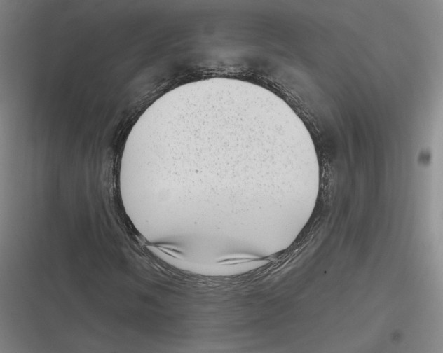 X0000116811058201001081351