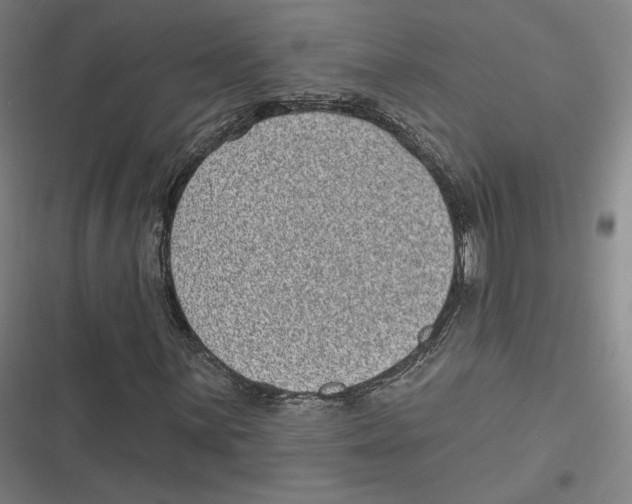 X0000116811059201001081351