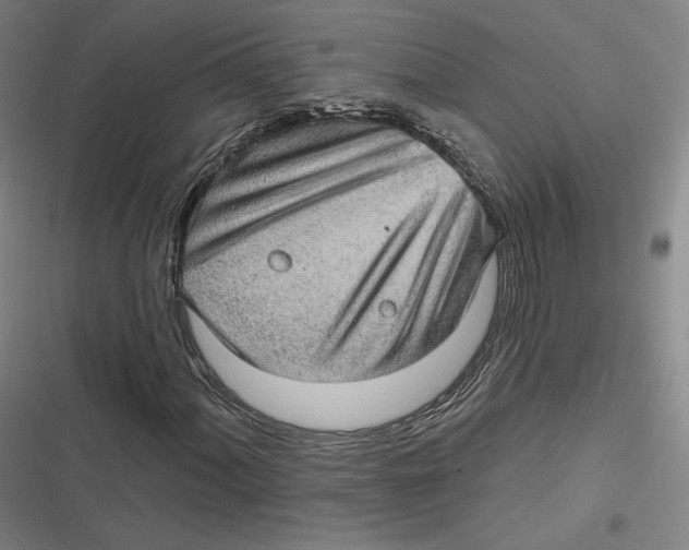 X0000116811060201001081351