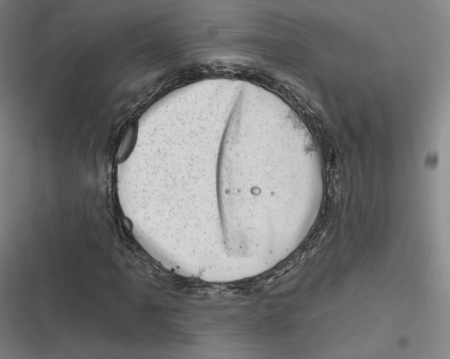 X0000116811061201001081350