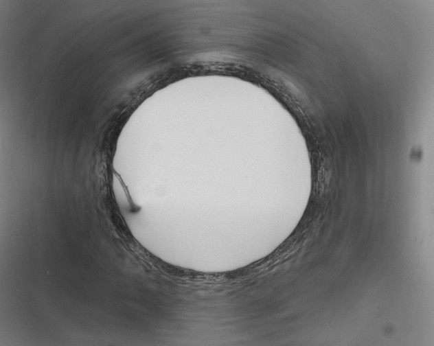 X0000116811062201001081350