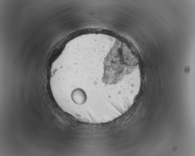 X0000116811064201001081350