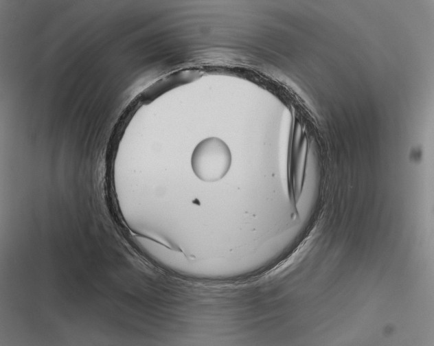 X0000116811065201001081350