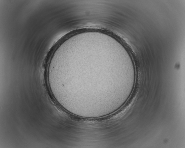 X0000116811066201001081350