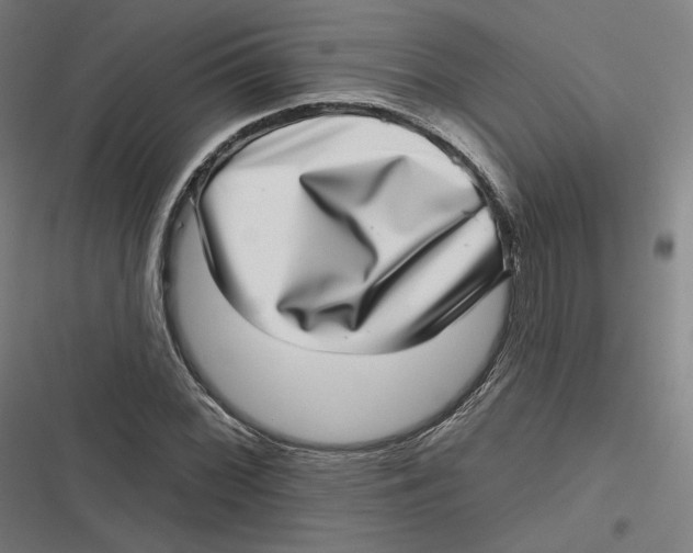 X0000116811068201001081350