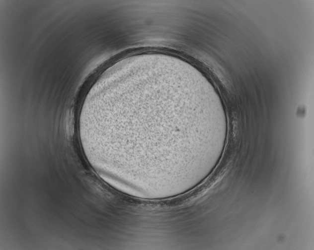 X0000116811069201001081350