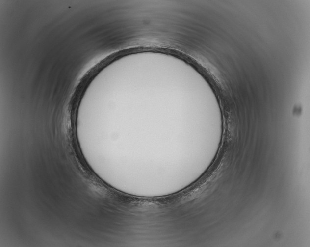 X0000116811070201001081350