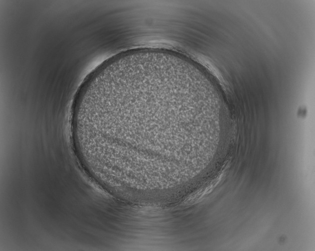 X0000116811071201001081350