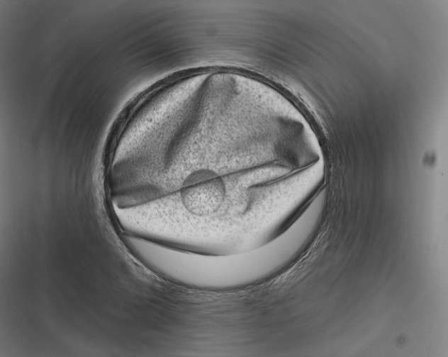 X0000116811072201001081350