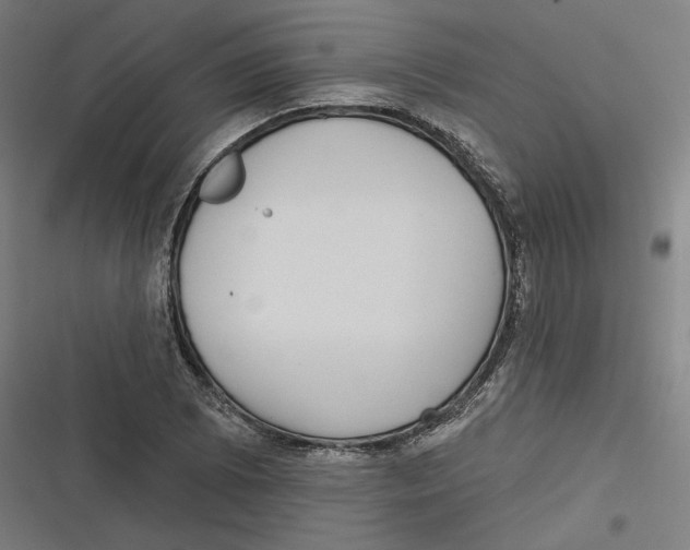 X0000116811073201001081350