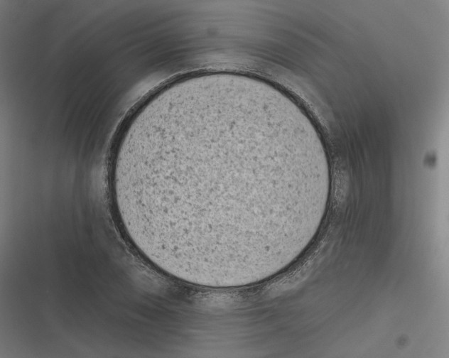 X0000116811074201001081350