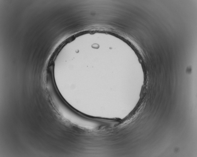 X0000116811075201001081350