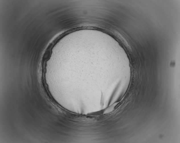 X0000116811076201001081350