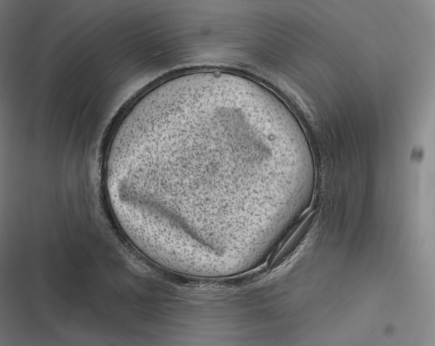 X0000116811077201001081350