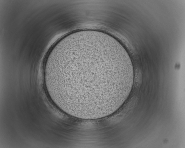 X0000116811078201001081350